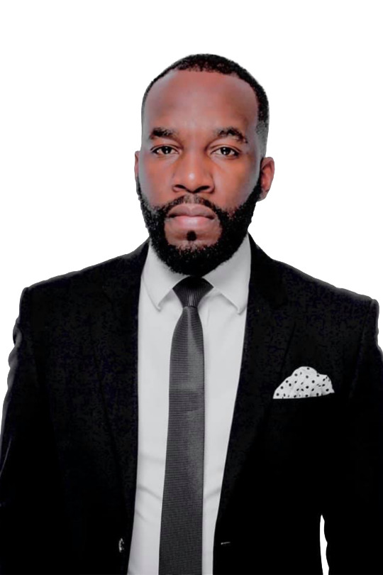 Executive: Business Strategy & PMS