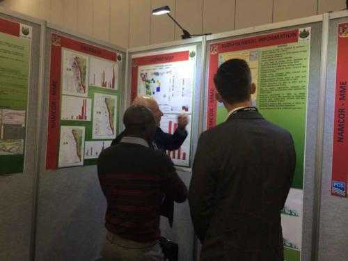bufelo-at-nape-conference-houston-2015-xs-2x